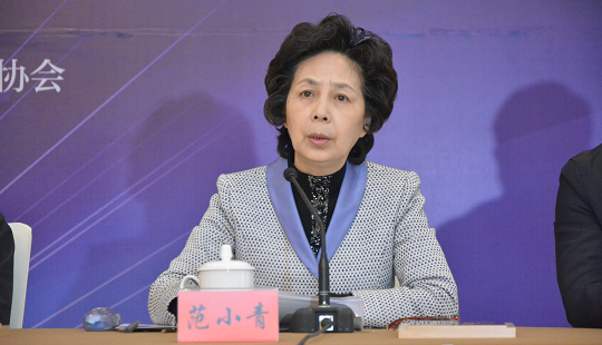 范小青：江蘇網(wǎng)絡(luò)文學(xué)已成為中國(guó)網(wǎng)絡(luò)文學(xué)重要方陣