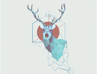 紀(jì)實(shí)文學(xué)的新變化和可能性