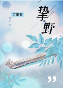 丁墨《摯野》 發(fā)表網(wǎng)站：云起書院 《摯野》將音樂筑夢與愛情圓夢巧妙地結(jié)合起來，表現(xiàn)當(dāng)代青年在喧囂生活中對愛情的執(zhí)著與堅守。作品在浪漫的人生況味中隱含了積極的思想意義，情節(jié)設(shè)置出人意料又合情合理，敘事嫻熟，以獨特的浪漫意味在都市愛情寫作中自成一格。	