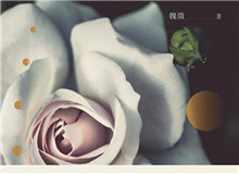 見(jiàn)言讀書(shū)會(huì)｜“以心證史”：魏微小說(shuō)研讀她能深入每個(gè)人的內(nèi)心世界去，去體悟、感受人物的心靈世界……[詳細(xì)]