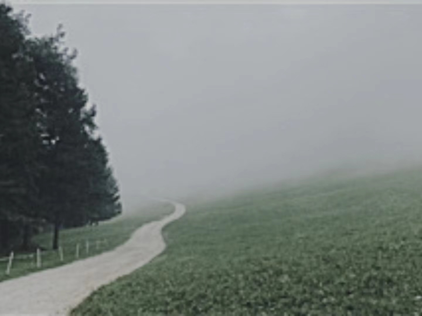 【輯一】南部山區(qū)：有時(shí)在大風(fēng)中，群山似乎在奔跑走在山間公路上/山崖在左，溪水在右/轉(zhuǎn)過(guò)兩座山，山崖到了右邊，溪水來(lái)到左邊[詳細(xì)]