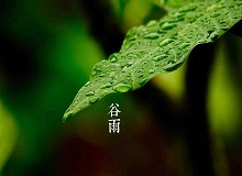 《谷雨》過了清明，就是谷雨。村莊里，田野里，村路上，草木間，人家的院落里，人們的臉上，到處都是春天的閑意思了。[詳細]