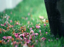 《雨水》轉(zhuǎn)眼就過了正月十五。芳村這地方，過了十五，才算是過了年。老輩子的風俗，十五看燈，十六游百病。[詳細]