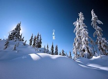 《大寒》這個時節(jié)，天短，日頭地兒就顯得格外金貴。一進臘月，過事兒的多了起來。[詳細]
