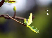 《立春》大年三十這一天，天難得放晴了。村子里到處明晃晃的，陽光映照著雪地，仿佛琉璃世界。[詳細]