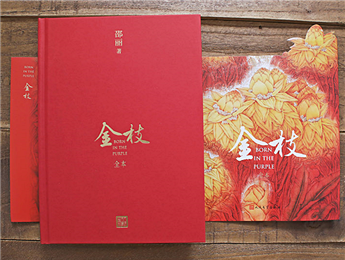 《金枝》：“虛置的父權(quán)”，使父親的角色無比尷尬