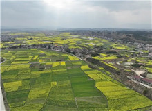 《家山》：生生不息的民族史詩(shī)　　在我的觀察當(dāng)中，很多傳統(tǒng)的鄉(xiāng)村社會(huì)的東西，現(xiàn)在還是保留著，傳統(tǒng)文化也保存得比較好……[詳細(xì)]