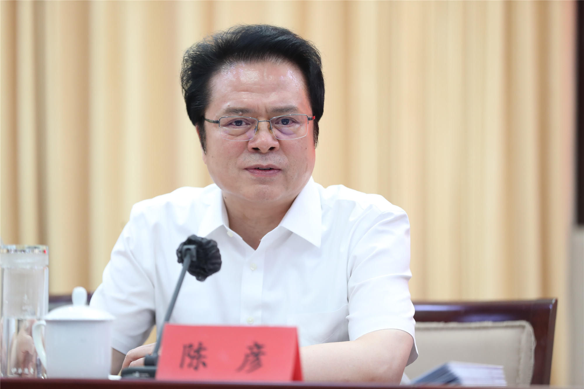 中國作協(xié)黨組成員、副主席陳彥主持會議