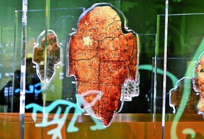 河南安陽殷墟博物館新館內(nèi)展出的刻辭卜甲。 新華社記者 李安攝 