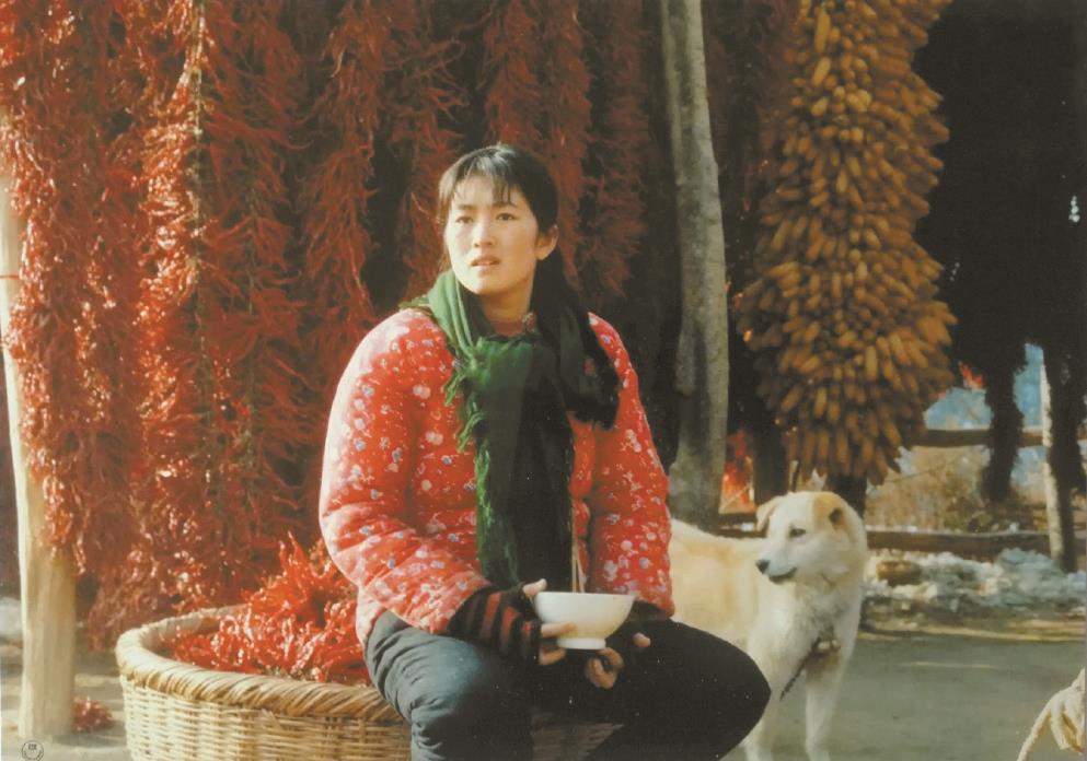 劉恒擔(dān)任編劇的電影《秋菊打官司》曾獲得第49屆威尼斯電影節(jié)金獅獎、第13屆中國電影金雞獎最佳故事片獎等獎項。