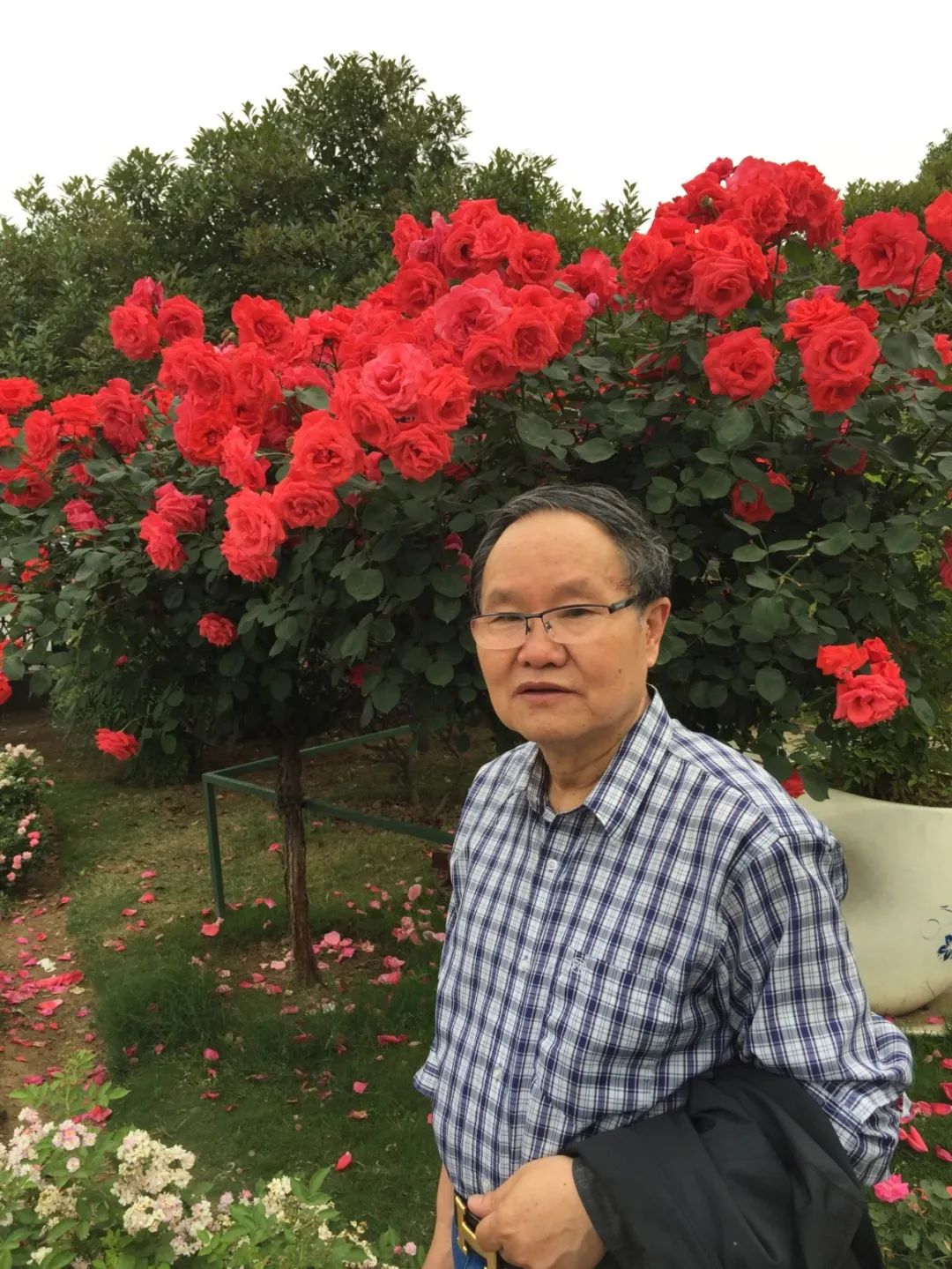 【劉慶邦，1951年生于河南沈丘。著有長篇小說《斷層》《遠方詩意》《平原上的歌謠》《紅煤》《遍地月光》《黑白男女》《女工繪》《花燈調》等十四部，中短篇小說集、散文集《走窯漢》《梅妞放羊》《遍地白花》《響器》《黃花繡》《到處有道》等七十余部?！秳c邦短篇小說編年》十二卷。短篇小說《鞋》獲第二屆魯迅文學獎。中篇小說《神木》《啞炮》獲第二屆和第四屆老舍文學獎。中篇小說《到城里去》和長篇小說《紅煤》分別獲第四屆、第五屆北京市文學藝術獎。長篇小說《遍地月光》獲第八屆茅盾文學獎提名。長篇小說《黑白男女》獲首屆吳承恩長篇小說獎。長篇小說《家長》獲第二屆南丁文學獎。長篇散文《陪護母親日記》獲第二屆孫犁散文獎。曾獲北京市首屆德藝雙馨獎，首屆林斤瀾杰出短篇小說作家獎，第十屆冰心散文獎。獲《北京文學》獎十五次；《十月》文學獎七次；《小說月報》百花獎八次等。根據其小說《神木》改編的電影《盲井》獲第53屆柏林電影藝術節(jié)銀熊獎。1990年加入中國作家協(xié)會，為中國煤礦作家協(xié)會名譽主席，北京作家協(xié)會原副主席，一級作家，北京市第十、第十一、第十二屆政協(xié)委員，中國作家協(xié)會第五、第六、第七、第八、第九屆全國委員會委員?！?></p>
<p style=