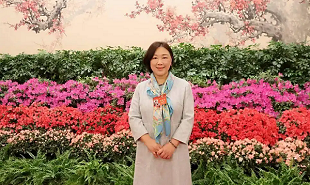 全國政協(xié)委員、網(wǎng)絡文學作家蔣勝男