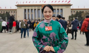 全國政協(xié)委員、山西藝術職業(yè)學院黨委委員、副院長苗潔
