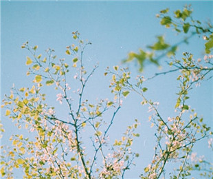 談文創(chuàng)設計中的情感導向：傳遞文化情感和情緒價值