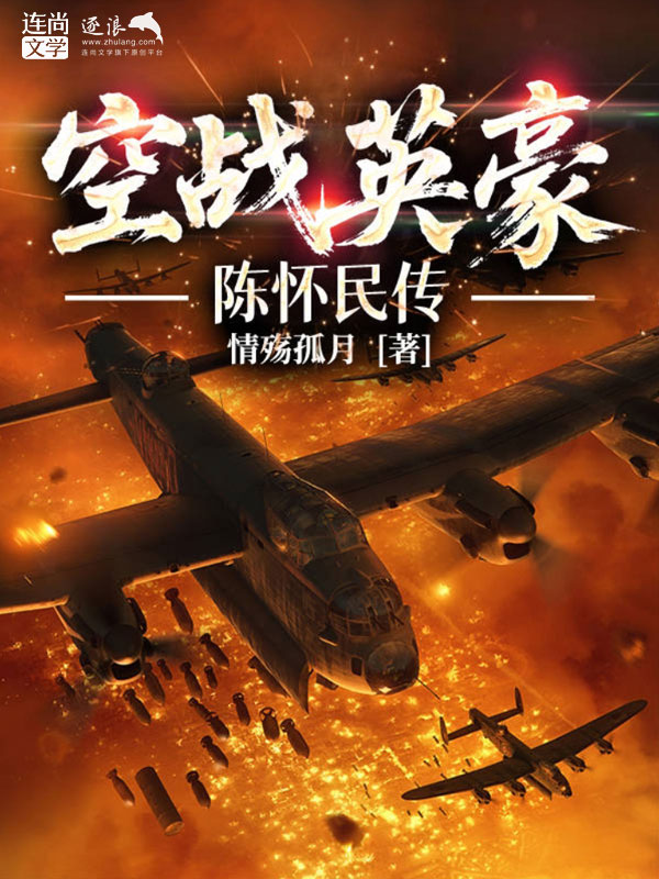 空戰(zhàn)英豪:陳懷民傳