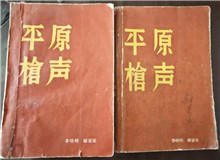 從未遠(yuǎn)去的“平原槍聲”　　合上《平原槍聲》最后一頁，初聽現(xiàn)實(shí)中肖張鎮(zhèn)這個(gè)地名，心頭不禁一震：莫不是小說中的肖家鎮(zhèn)？[詳細(xì)]