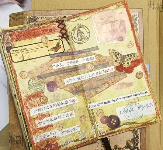 閱讀摘抄手賬，來源：讀者“朝夕昭奚”微博