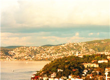 我的散文的生命力來自于田野調(diào)查　　蟋蟀叫著，兮兮兮。月影上來了，印在窗戶上，如一朵潔白的窗花。[詳細(xì)]