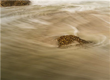 “抵抗遺忘”是對寫作者的最高要求　　對傅菲而言，“元”是周而復(fù)始之始，代表初心，“燈”乃光明之源……[詳細(xì)]