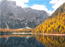 在自然文學(xué)和生態(tài)文學(xué)之間　　在自然文學(xué)領(lǐng)域，我耗費(fèi)了大量時間和心血，但遠(yuǎn)遠(yuǎn)談不上“中國的《瓦爾登湖》”……[詳細(xì)]