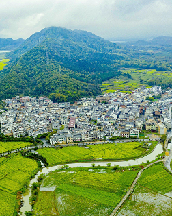 朱強(qiáng)：過故人莊